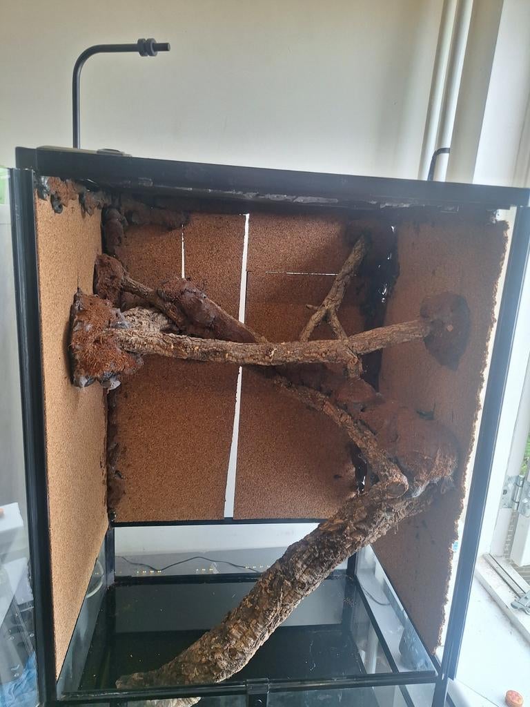 te koop ingericht kameleon terrarium, Dieren en Toebehoren, Reptielen en Amfibieën | Toebehoren, Ophalen
