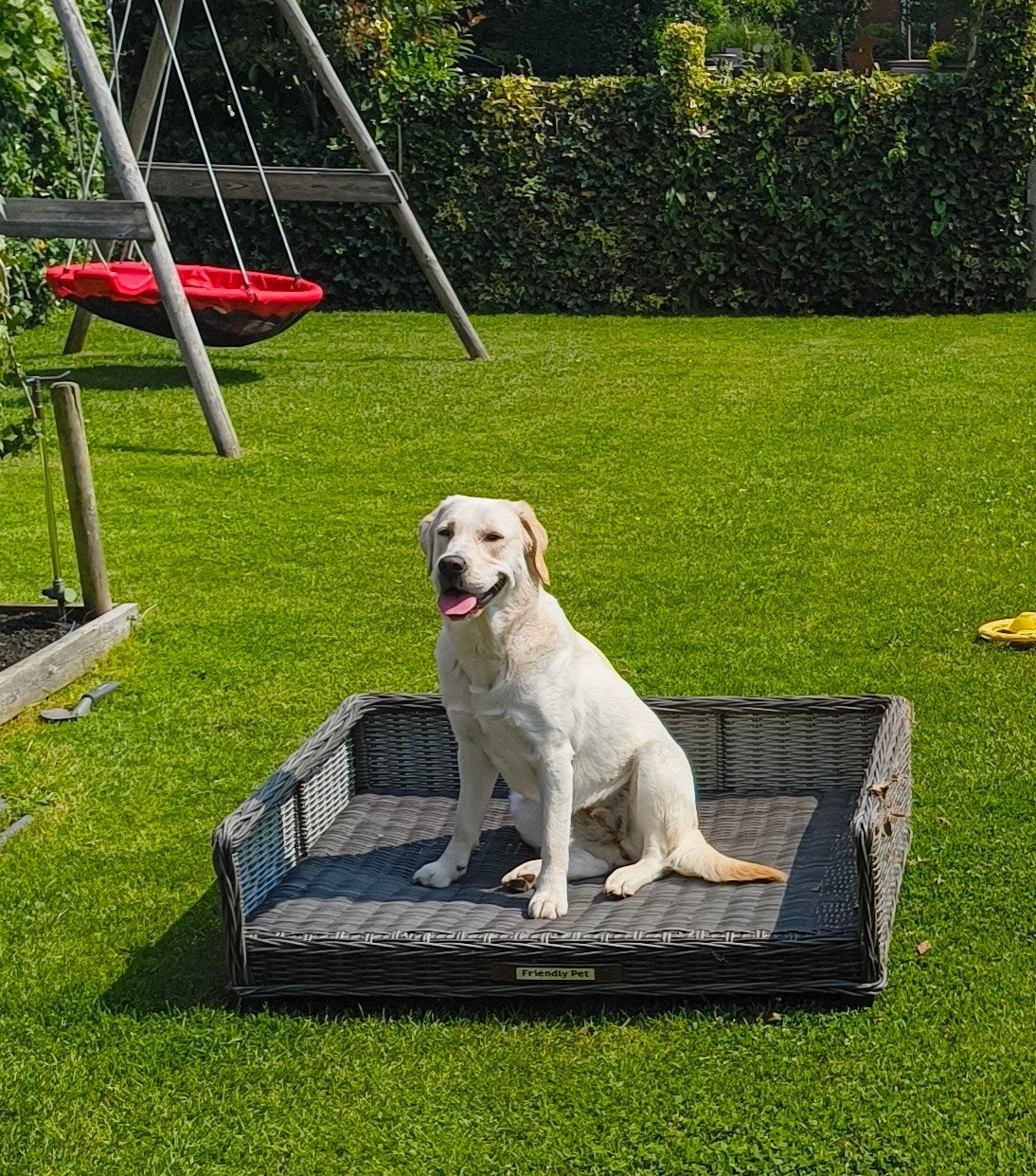 Hondenmand 100 x 80, Ophalen, Gebruikt, Overige