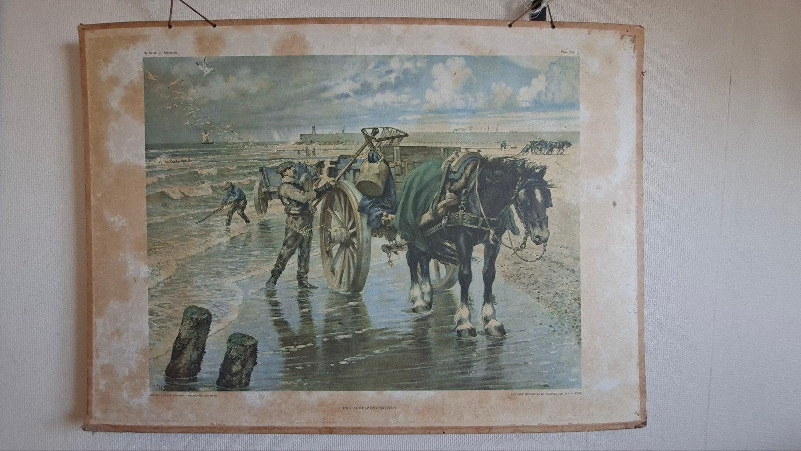 Schoolplaat schelpenvissers, Ophalen, Flora en Fauna, Met tekst, 1900 - 1949