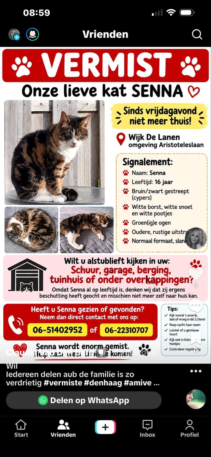 Vermist, Dieren en Toebehoren, Katten en Kittens | Overige Katten, Kater