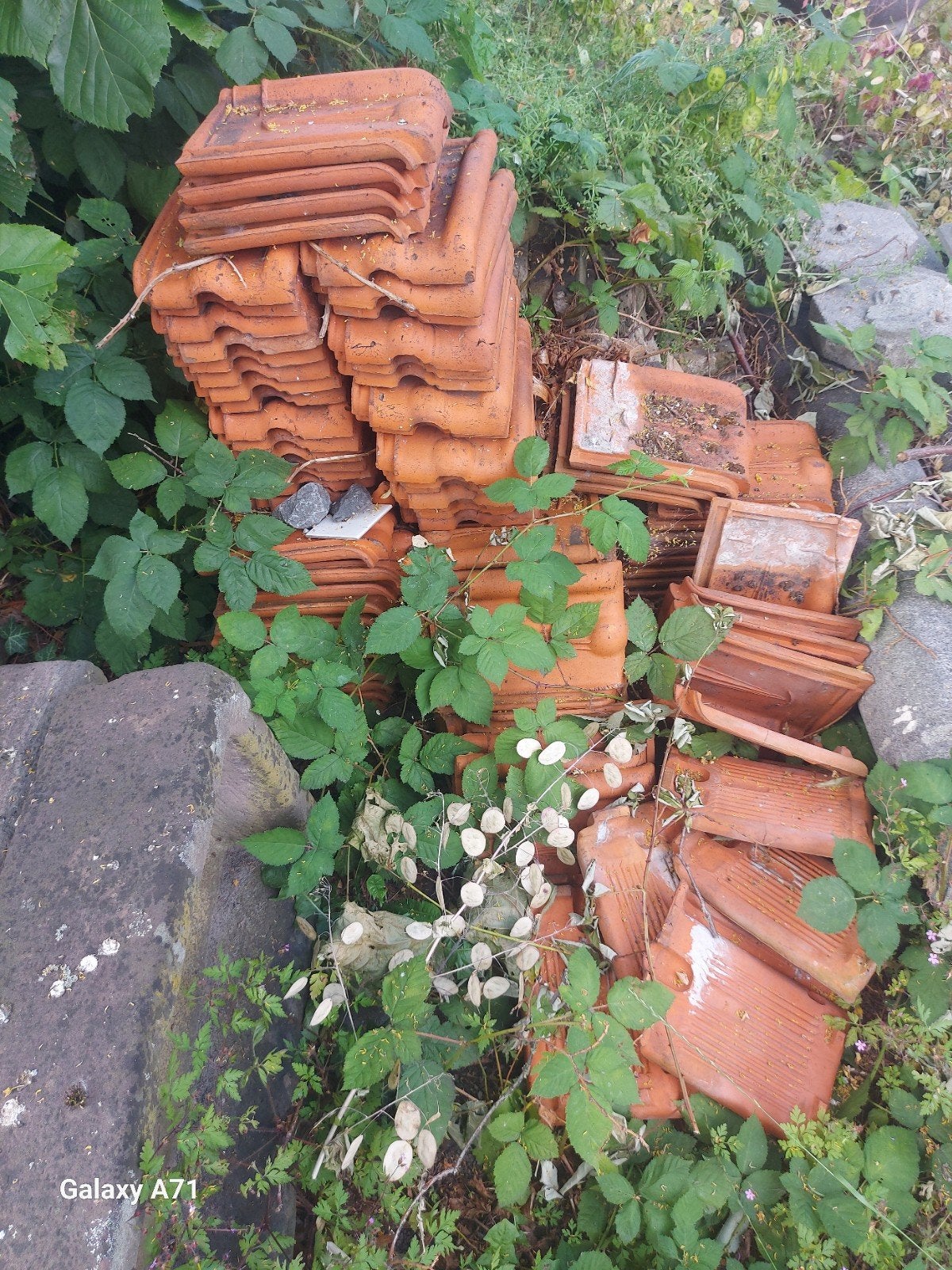 Dakpannen rode kruispannen liggen in verband 100 stuks 50 eu, Doe-het-zelf en Verbouw, Dakpannen en Dakbedekking, Steen of Klei