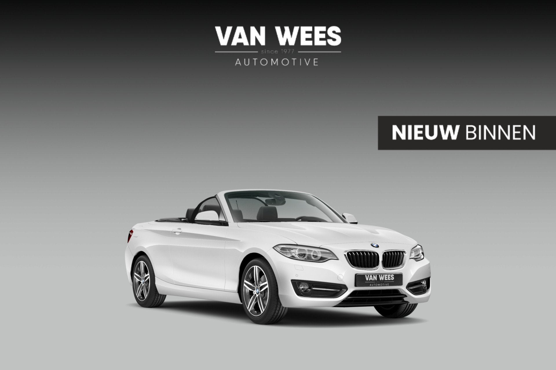 BMW 2-serie Cabrio 220i Sport-Line | 2e eigenaar | Dealer on, Auto's, BMW, Bedrijf, Te koop, 2-Serie, ABS, Airbags, Airconditioning
