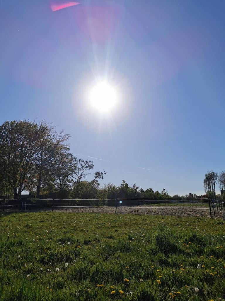 Pensionstal vrij in Vaassen, Dieren en Toebehoren, Stalling en Weidegang