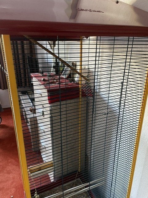 grote vogelkooi, Ophalen, Zo goed als nieuw, Metaal, Vogelkooi