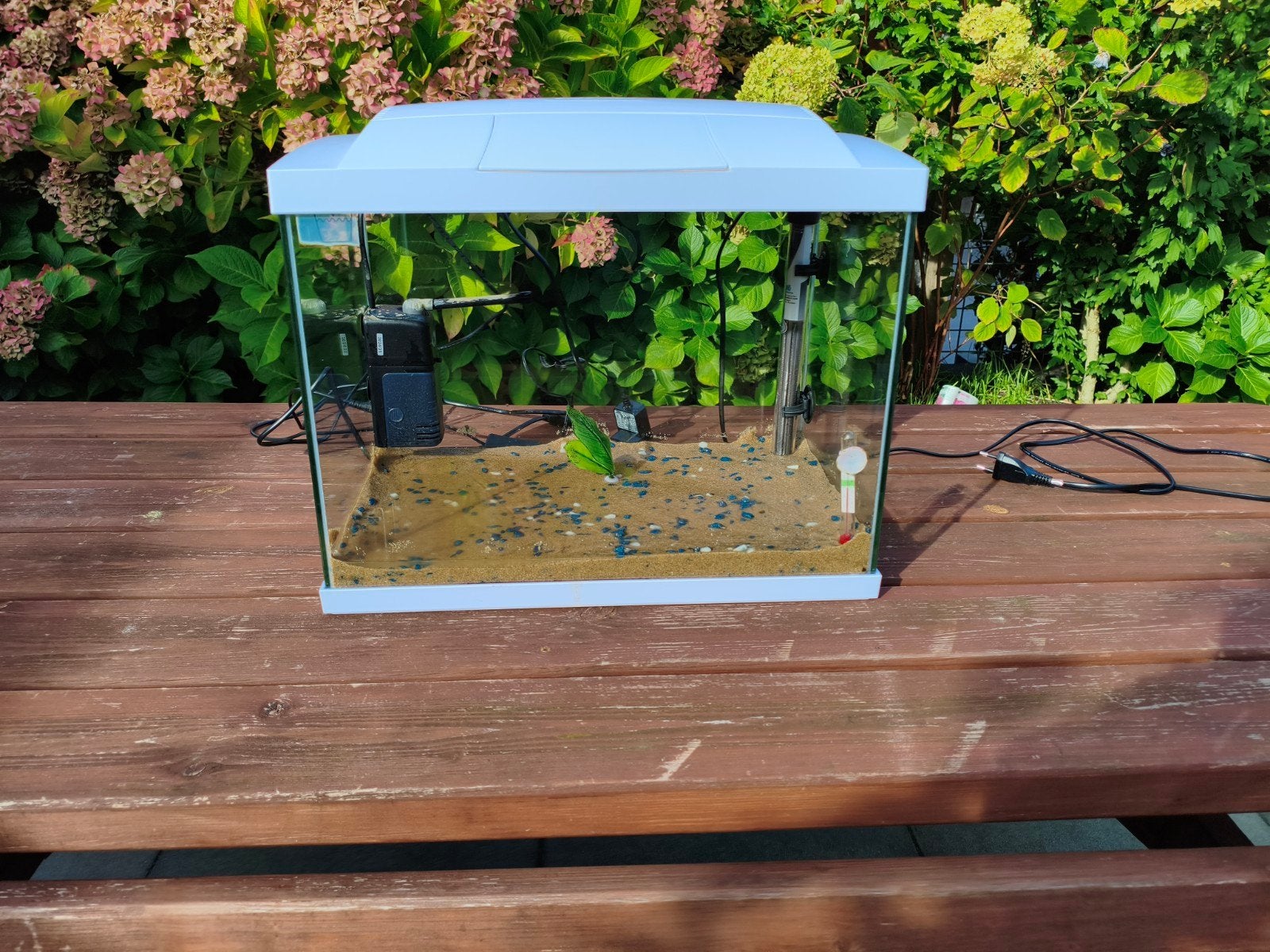 Superfish 50 compleet!, Dieren en Toebehoren, Zo goed als nieuw, Leeg aquarium, Superfish, Ophalen
