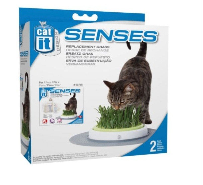 Sensis kattengras maker, Ophalen of Verzenden