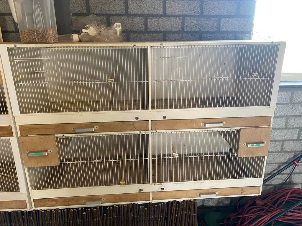 2x 4 Kweekkooien, Ophalen, Gebruikt, Hout, Broedkooi of Kweekkooi