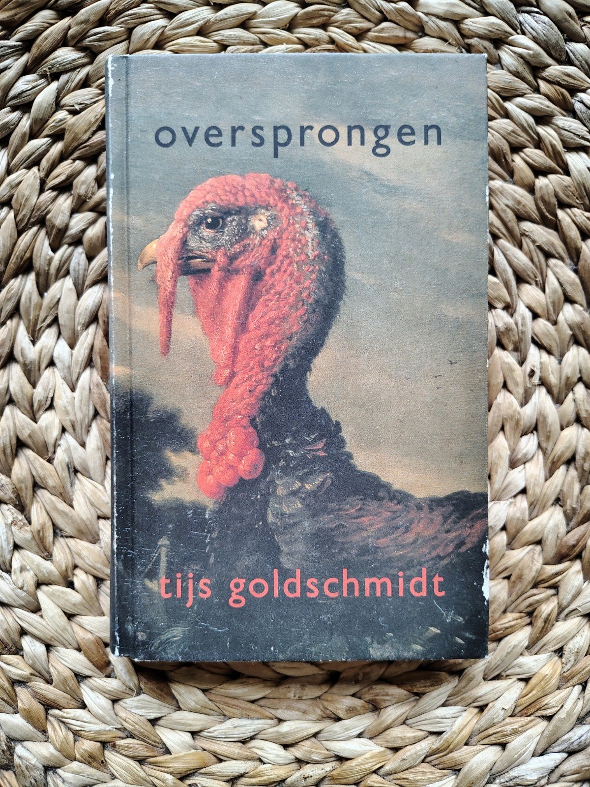 Tijs Goldschmidt - Oversprongen, Ophalen of Verzenden, Gelezen
