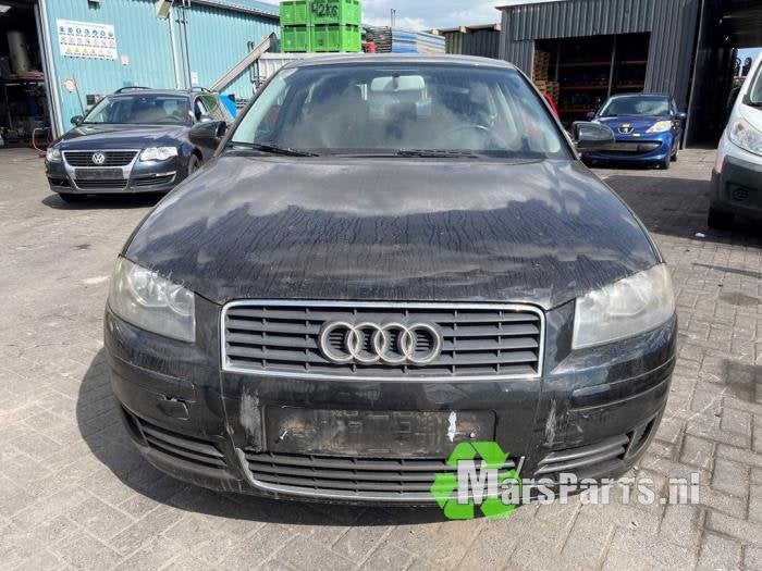 Brandstofpomp Elektrisch van een Audi A3, Gebruikt, -, -, -