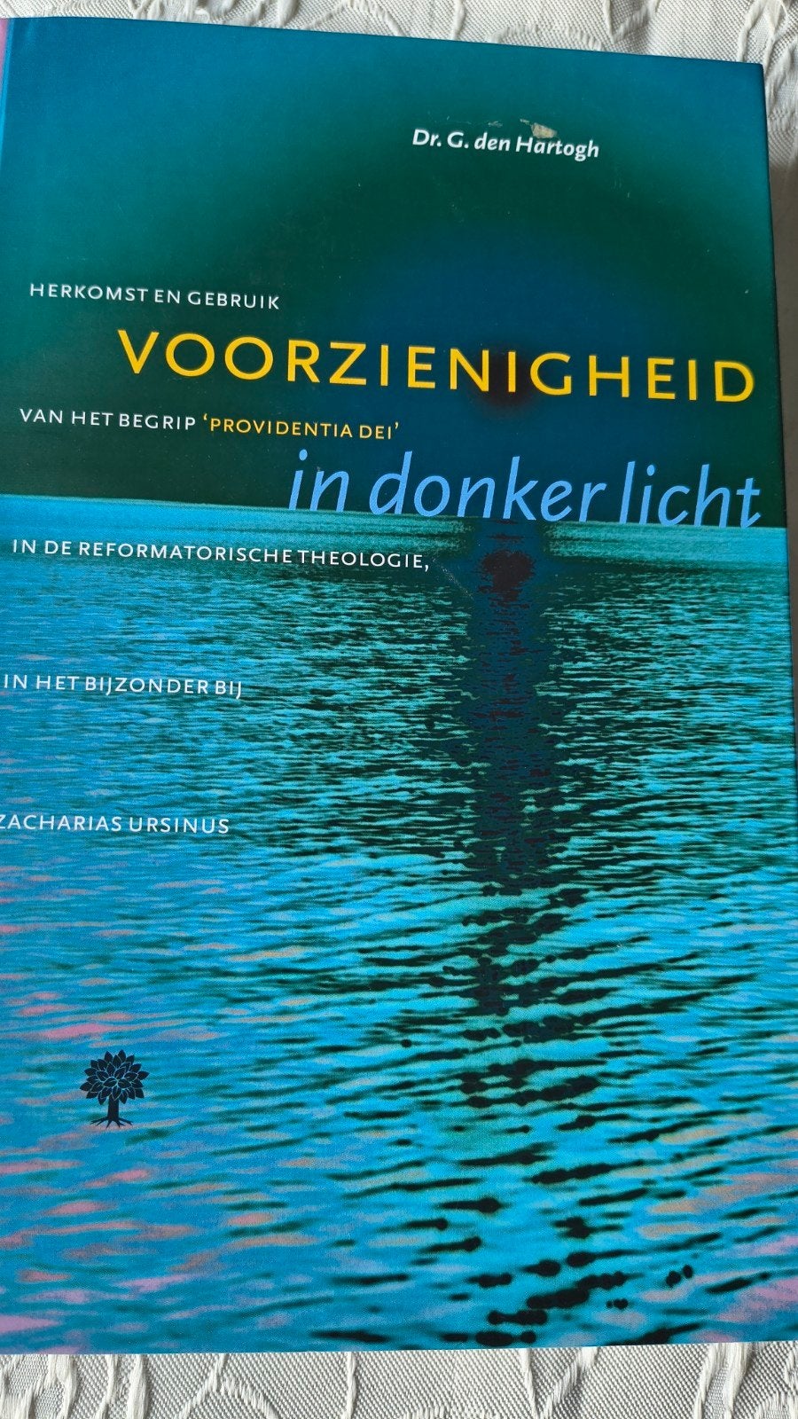 G. den Hartogh - Voorzienigheid in donker licht, Ophalen of Verzenden, Zo goed als nieuw, G. den Hartogh