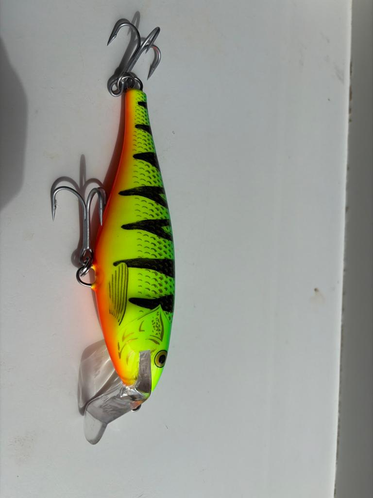 Nieuwe Rapala SSR14 - Opvallende Baarskleur met RVS Dreggen, Ophalen of Verzenden, Nieuw, Kunstaas