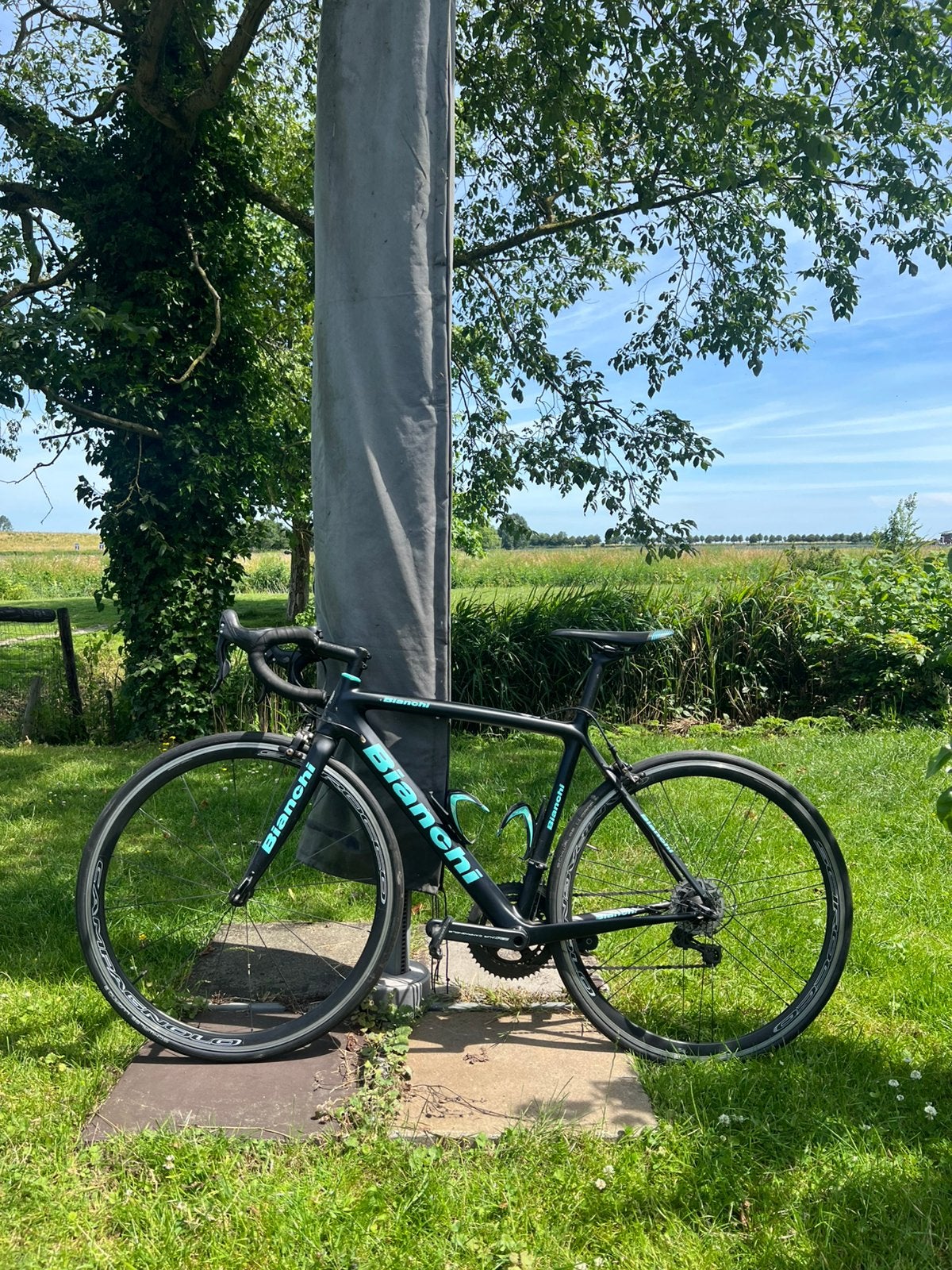 Bianchi Sempre framemaat 53 Carbon, Gebruikt, Aluminium, Meer dan 20 versnellingen, 53 tot 57 cm
