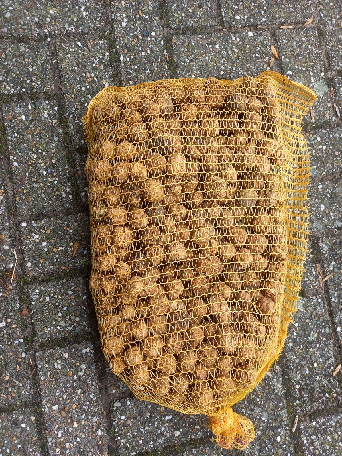 walnoten, Diversen, Levensmiddelen, Ophalen