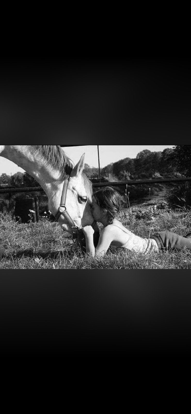 IK ZOEK MIJN JEUGDPONY!, Ophalen
