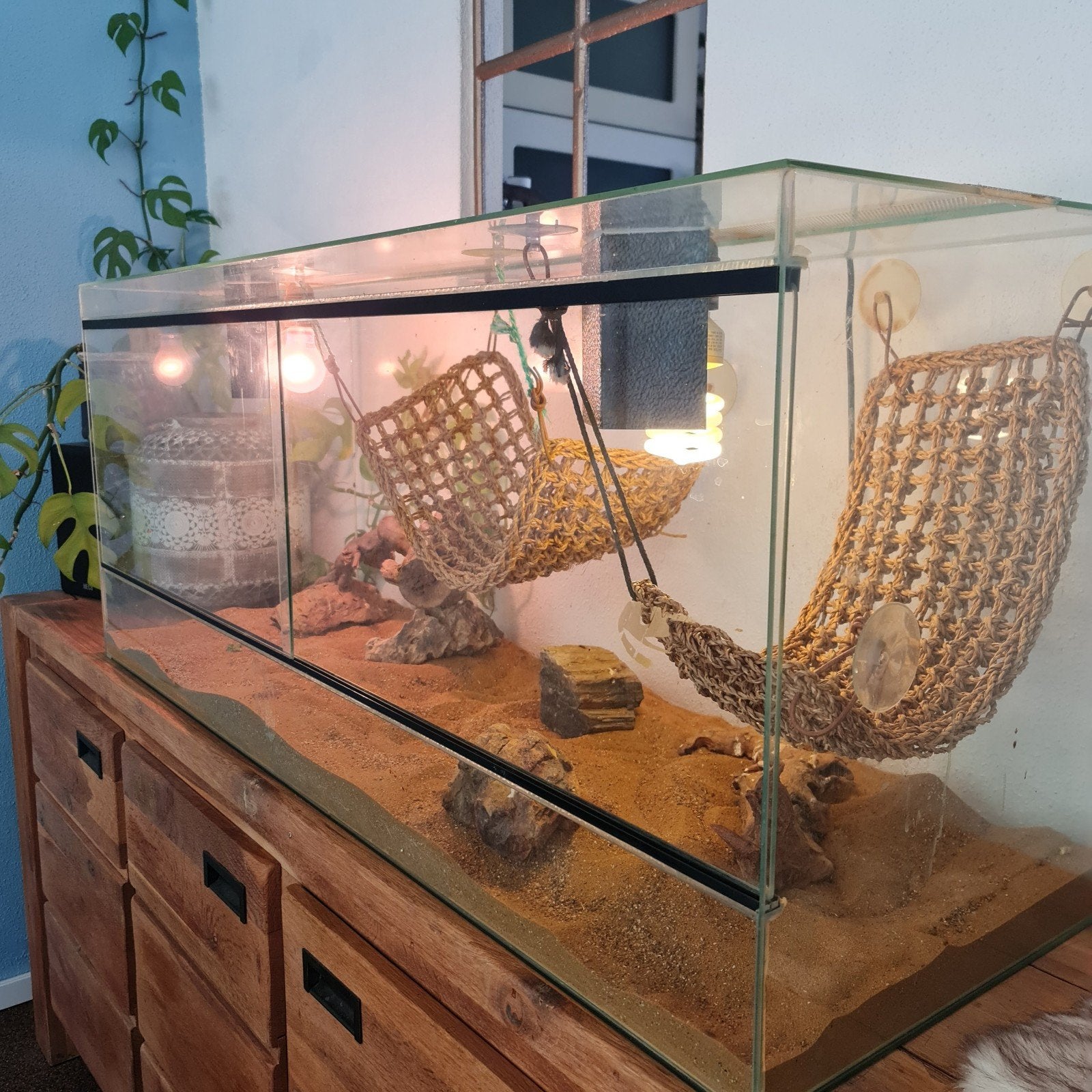 Terrarium 120x50x40, Dieren en Toebehoren, Reptielen en Amfibieën | Toebehoren, Ophalen