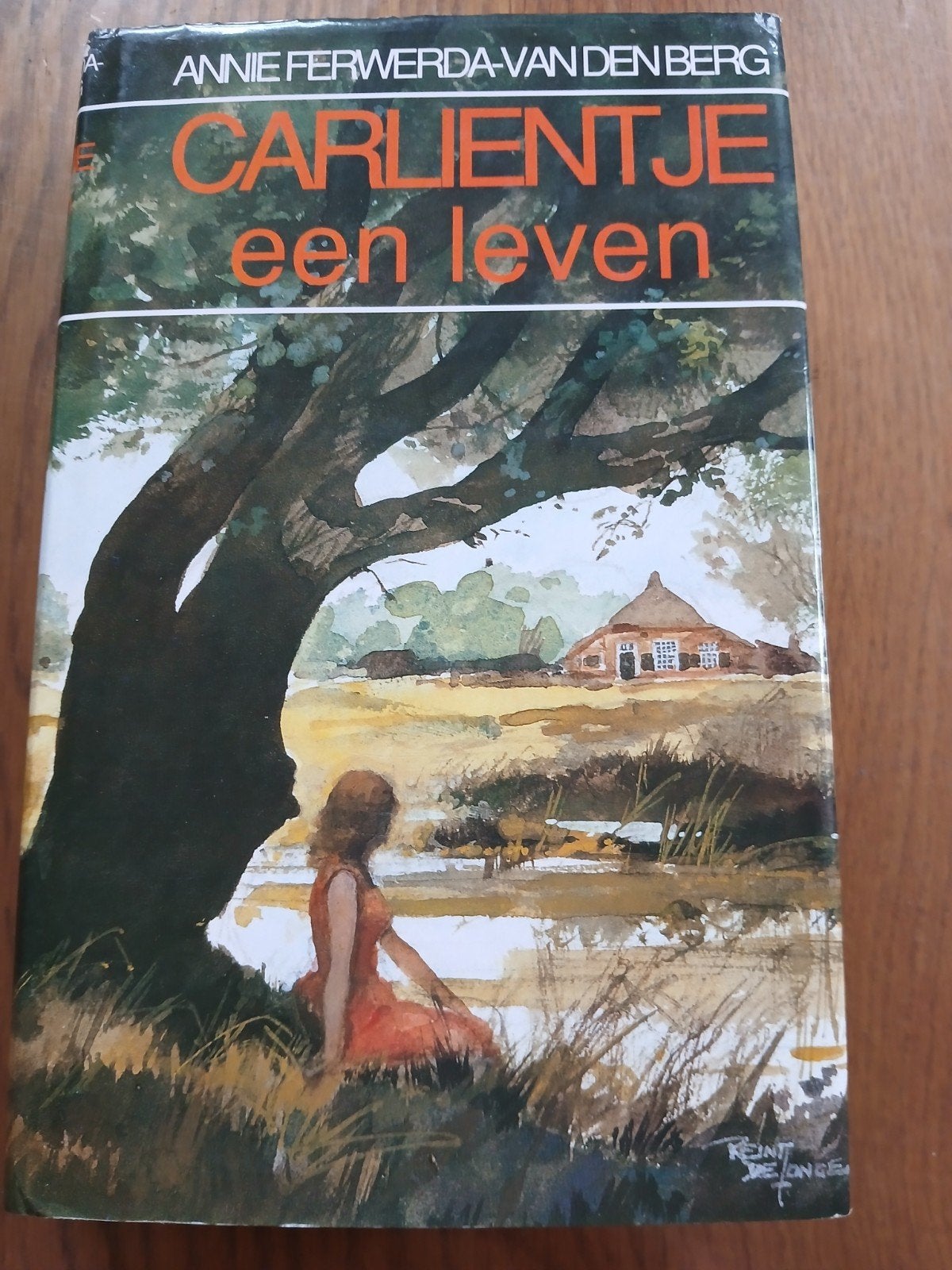 Carlientje een leven | Annie Ferwerda-van den Berg, Ophalen of Verzenden, Zo goed als nieuw