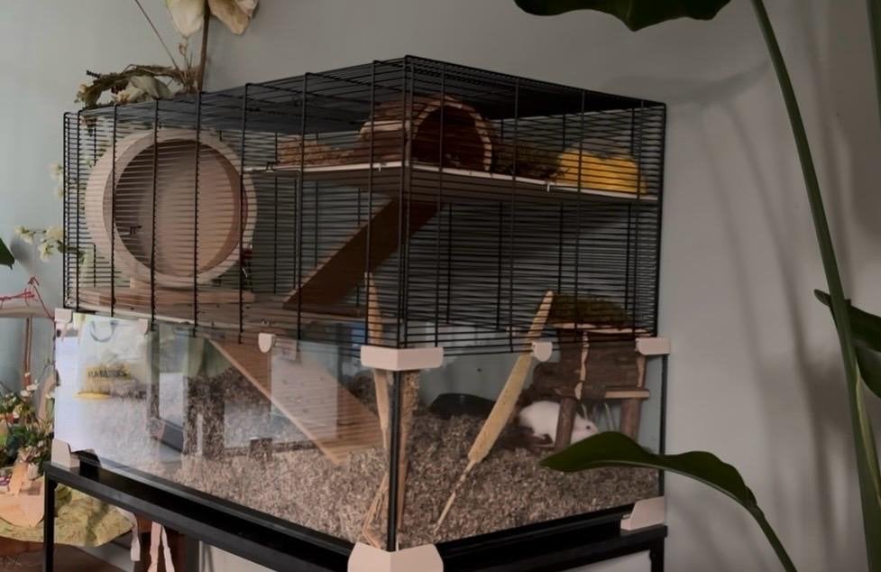 Hamsterverblijf incl toebehoren, Kooi, Gebruikt, Hamster, 75 tot 110 cm