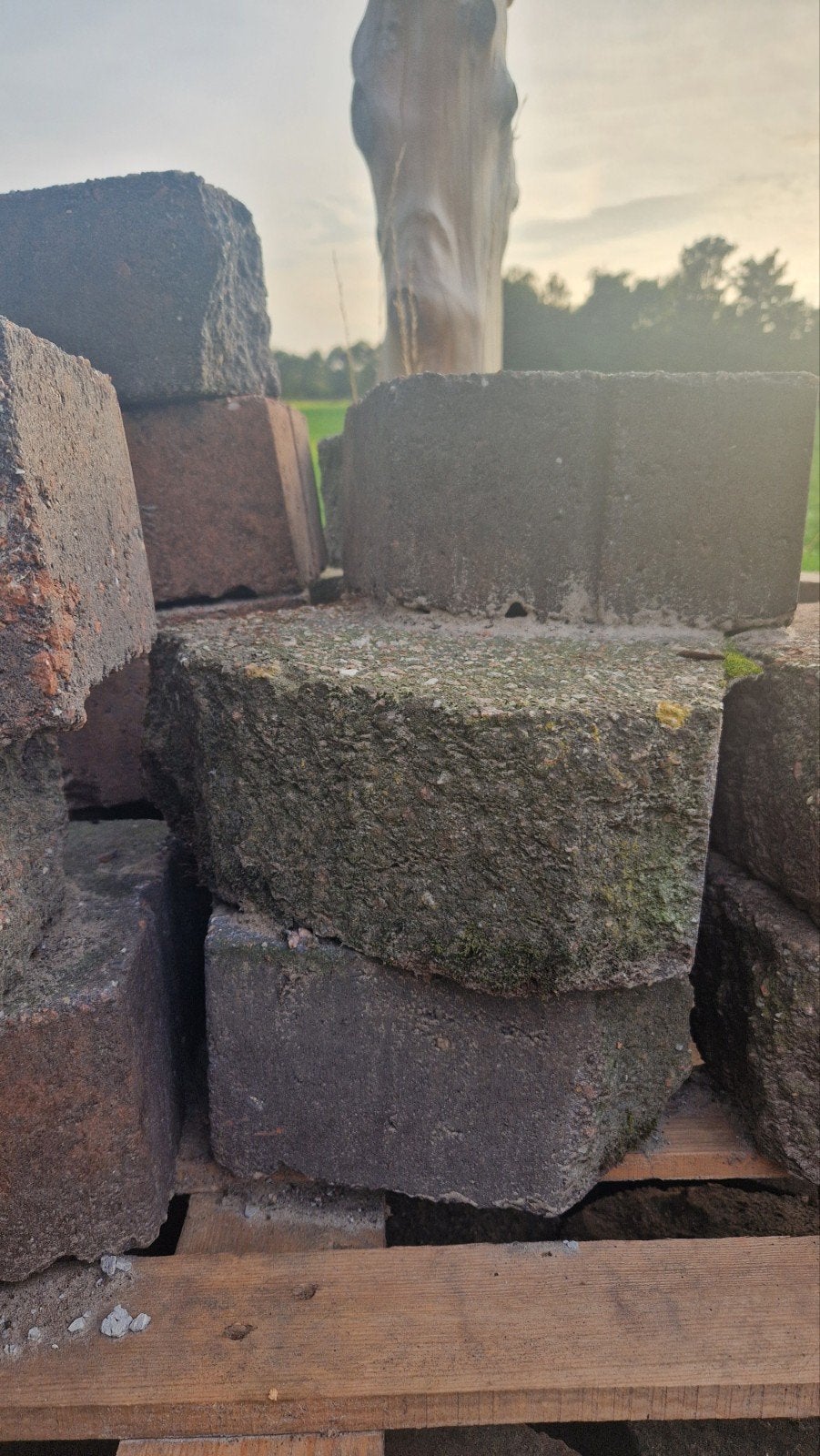 Stapelstenen stapelblokken waaiervorm border, Tuin en Terras, Ophalen, Gebruikt, Beton, Overige typen