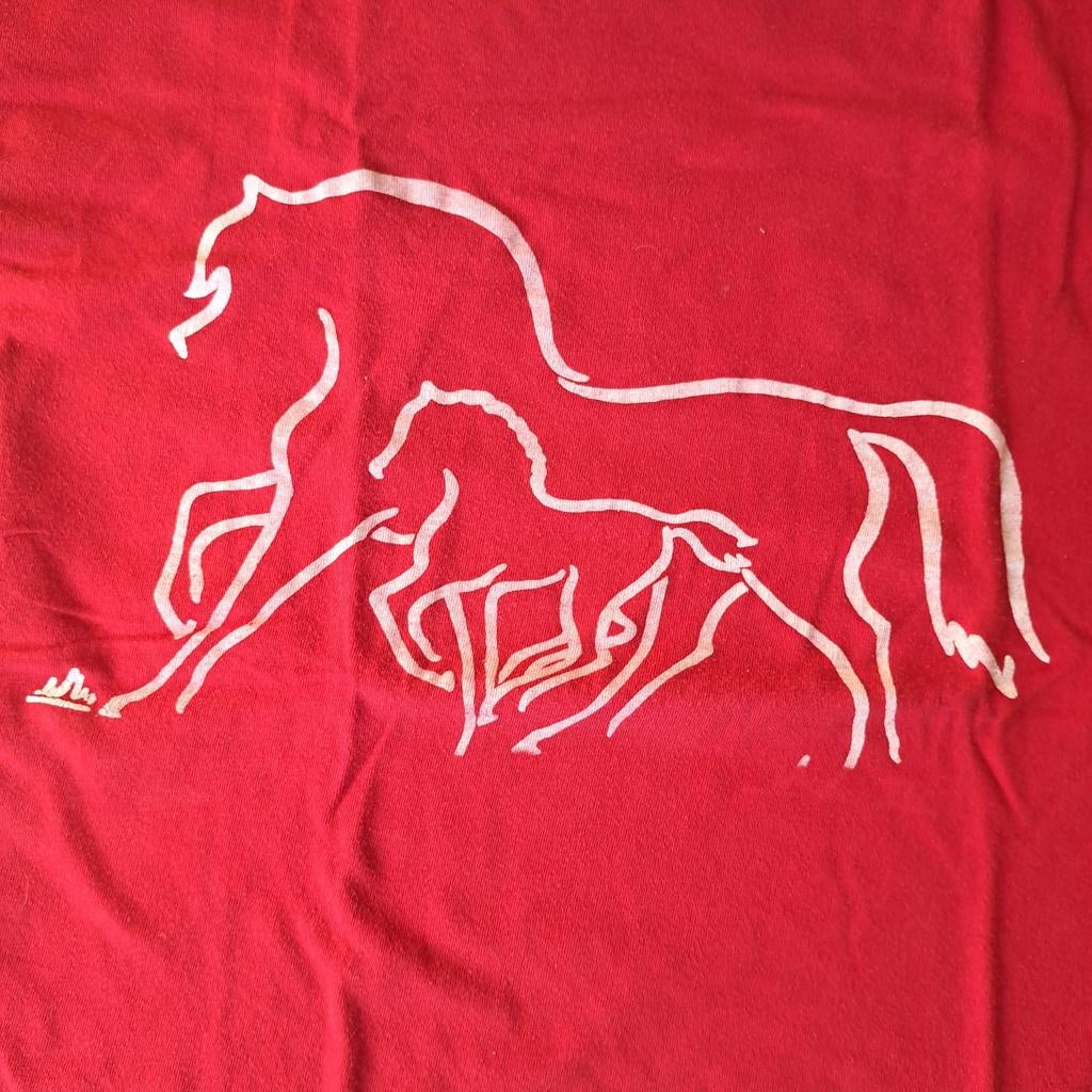 Rood shirt met paarden afbeelding, Jongen of Meisje, Ophalen of Verzenden, Zo goed als nieuw, Shirt of Longsleeve