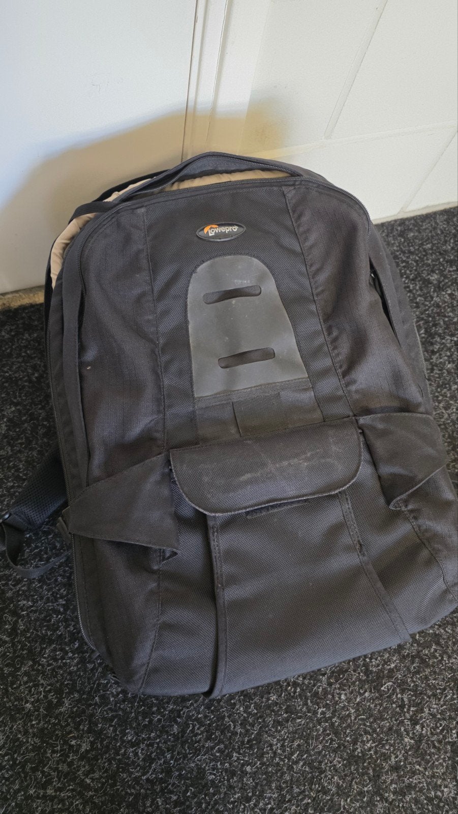Lowepro Cameratas Rugzak - Gebruikt, Audio, Tv en Foto, Fotografie | Fototassen, Rugtas, Ophalen of Verzenden, Zwart, Verstelbare indeling