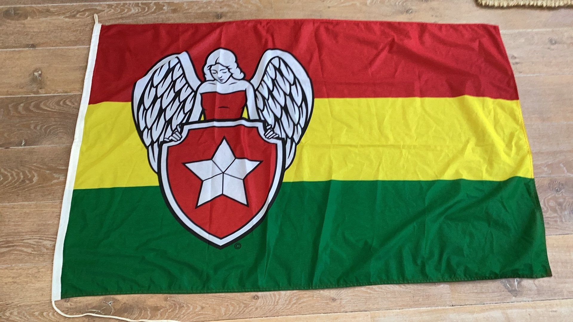 Vlag Carnaval Maastricht, Ophalen of Verzenden, Zo goed als nieuw