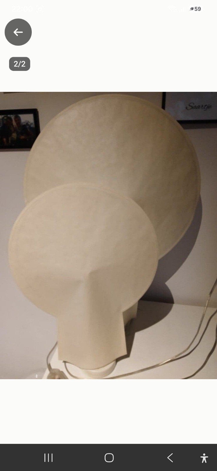 Set van twee hay papieren pioenlampen, Ophalen