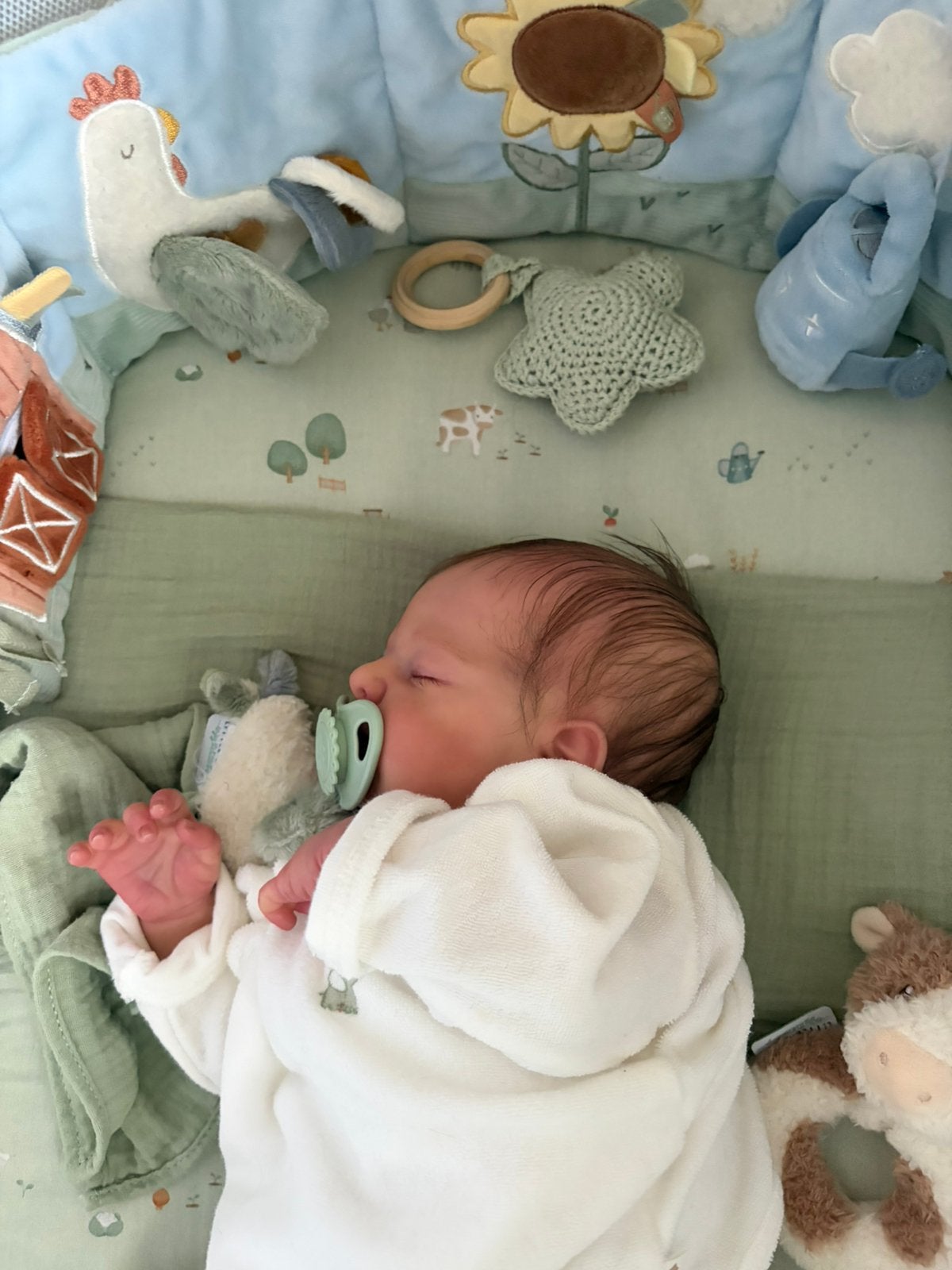 Reborn baby Otto van Joanna Kazmierczak met certificaten, Ophalen, Nieuw, Babypop, Levensecht of Reborn