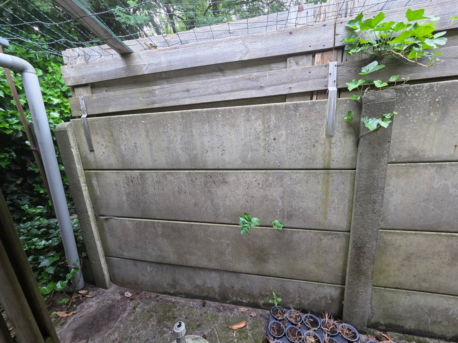 Betonschutting gratis afhalen en betonpalen, Tuin en Terras, Schuttingen, Ophalen, Overige materialen, Minder dan 3 meter, 1 tot 2 meter
