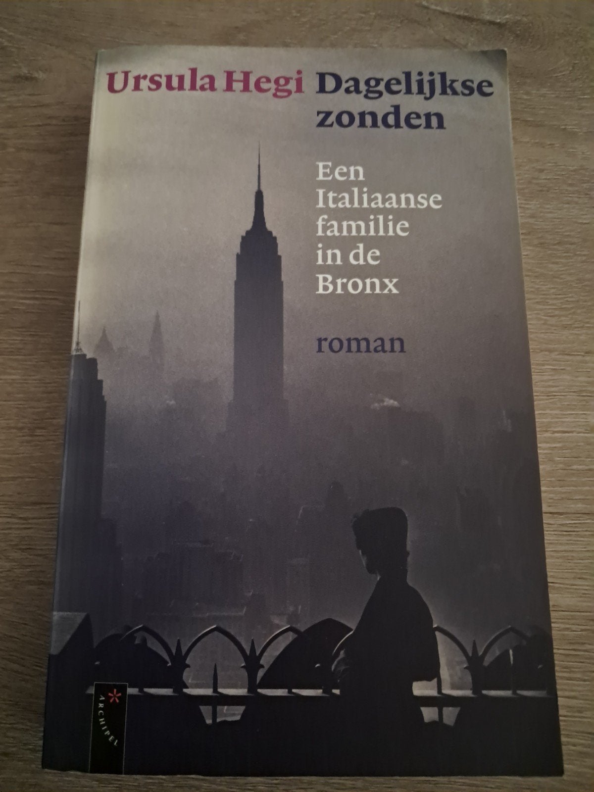 E4 Ursula Hegi - Dagelijkse zonden: Italiaanse familie Bronx, Ophalen of Verzenden, Gelezen, Ursula Hegi, Amerika