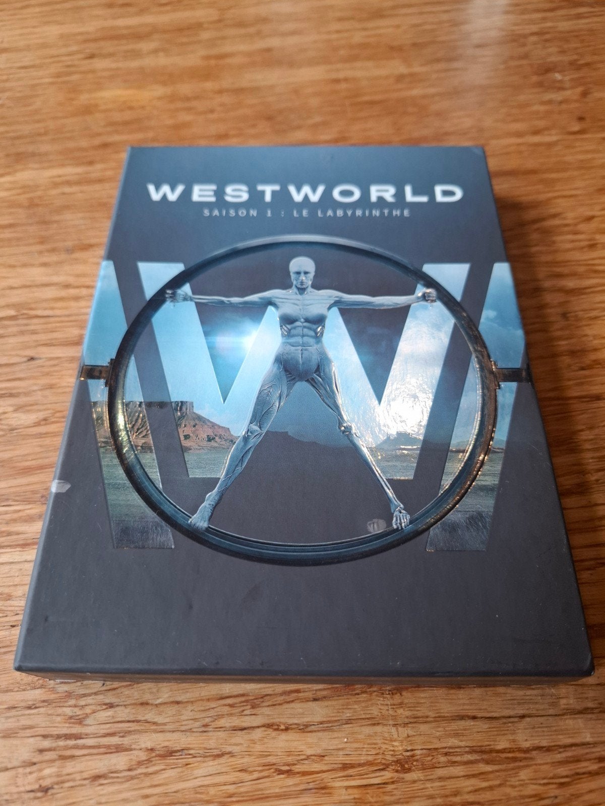 Westworld DVD Box, Seizoen 1, Vanaf 16 jaar, Ophalen of Verzenden, Zo goed als nieuw, Seizoen 1
