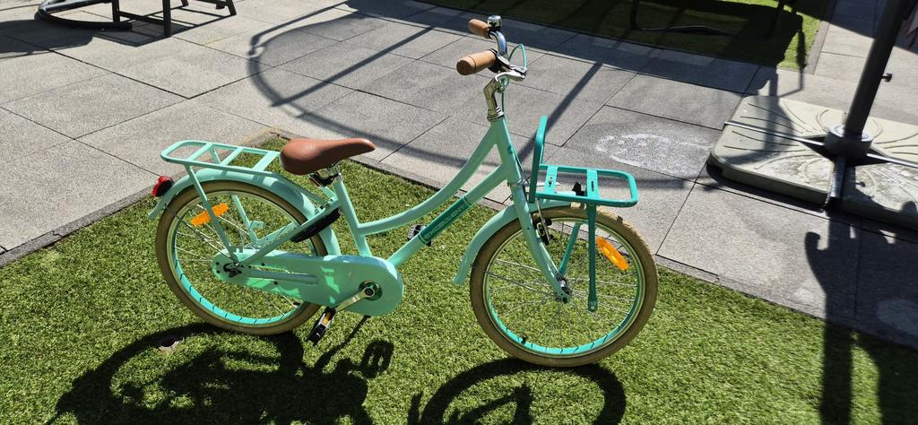 Kinderfiets 20 inch met voordrager en terugtraprem, Ophalen, Gebruikt, Terugtraprem, 20 inch of meer