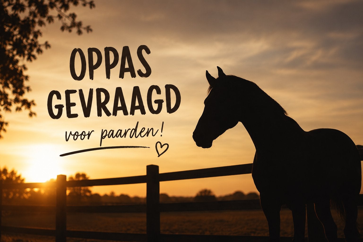 Verzorger gezocht voor de vakantie in heerde, Verzorging of Verzorgpony's