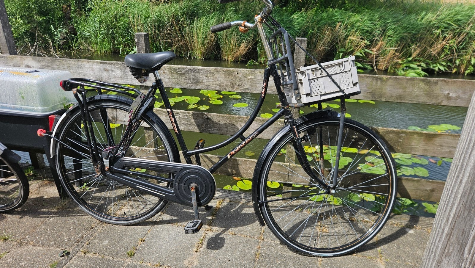 Pointer omafiets met voordrager en mandje, Terugtraprem, Ophalen, Overige merken, 53 tot 56 cm