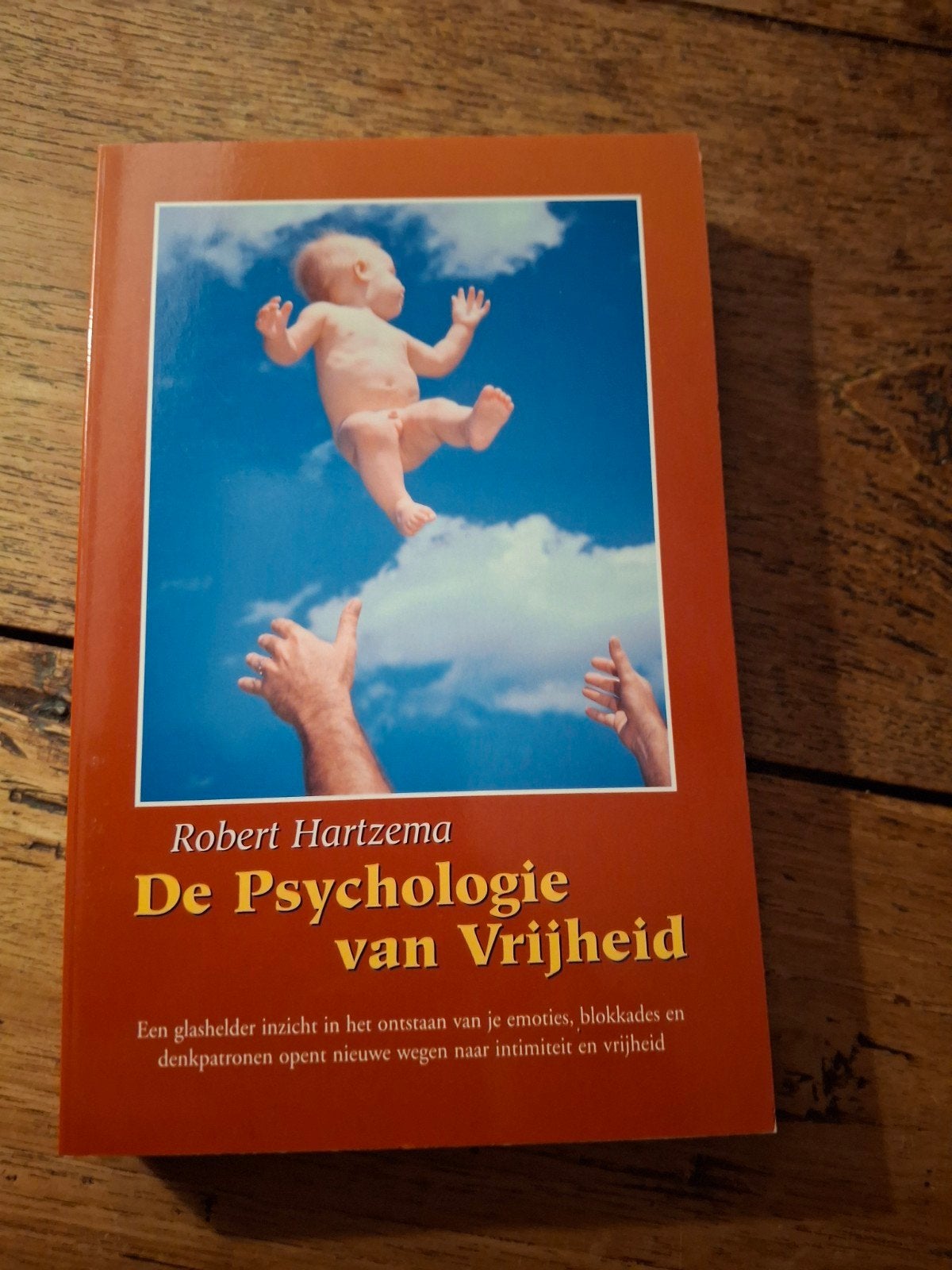 Robert Hartzema - De Psychologie van Vrijheid, Ophalen of Verzenden, Zo goed als nieuw, Robert Hartzema