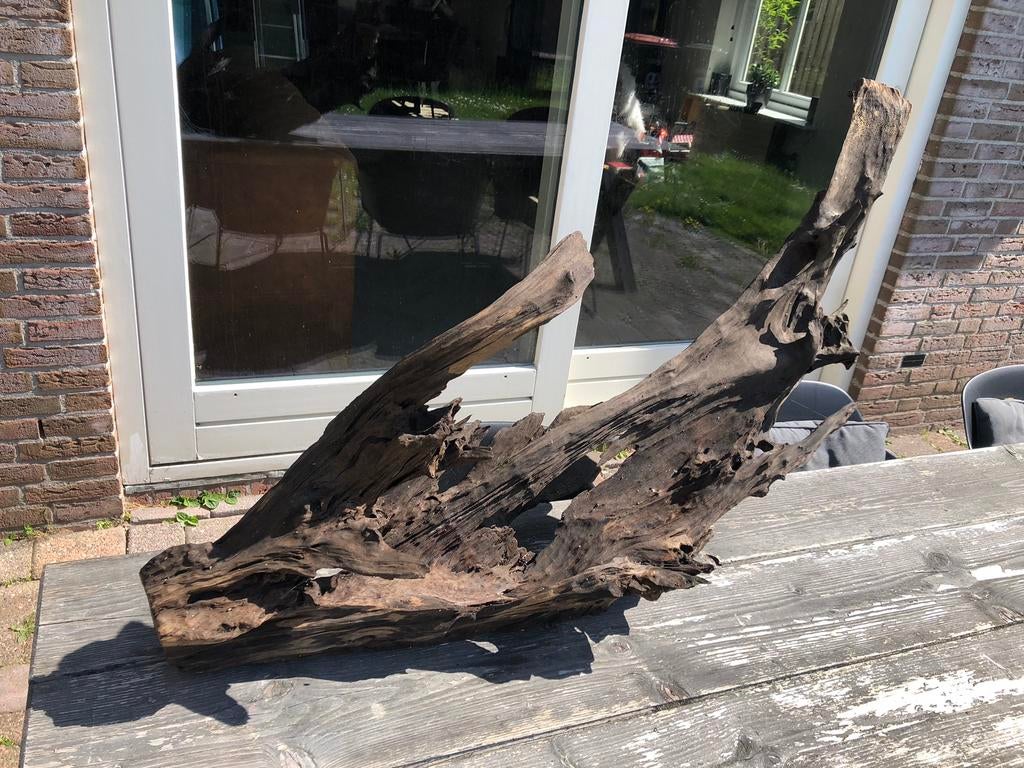 Aquarium hout, Dieren en Toebehoren, Ophalen of Verzenden, Gebruikt, Plant(en), Steen of Hout