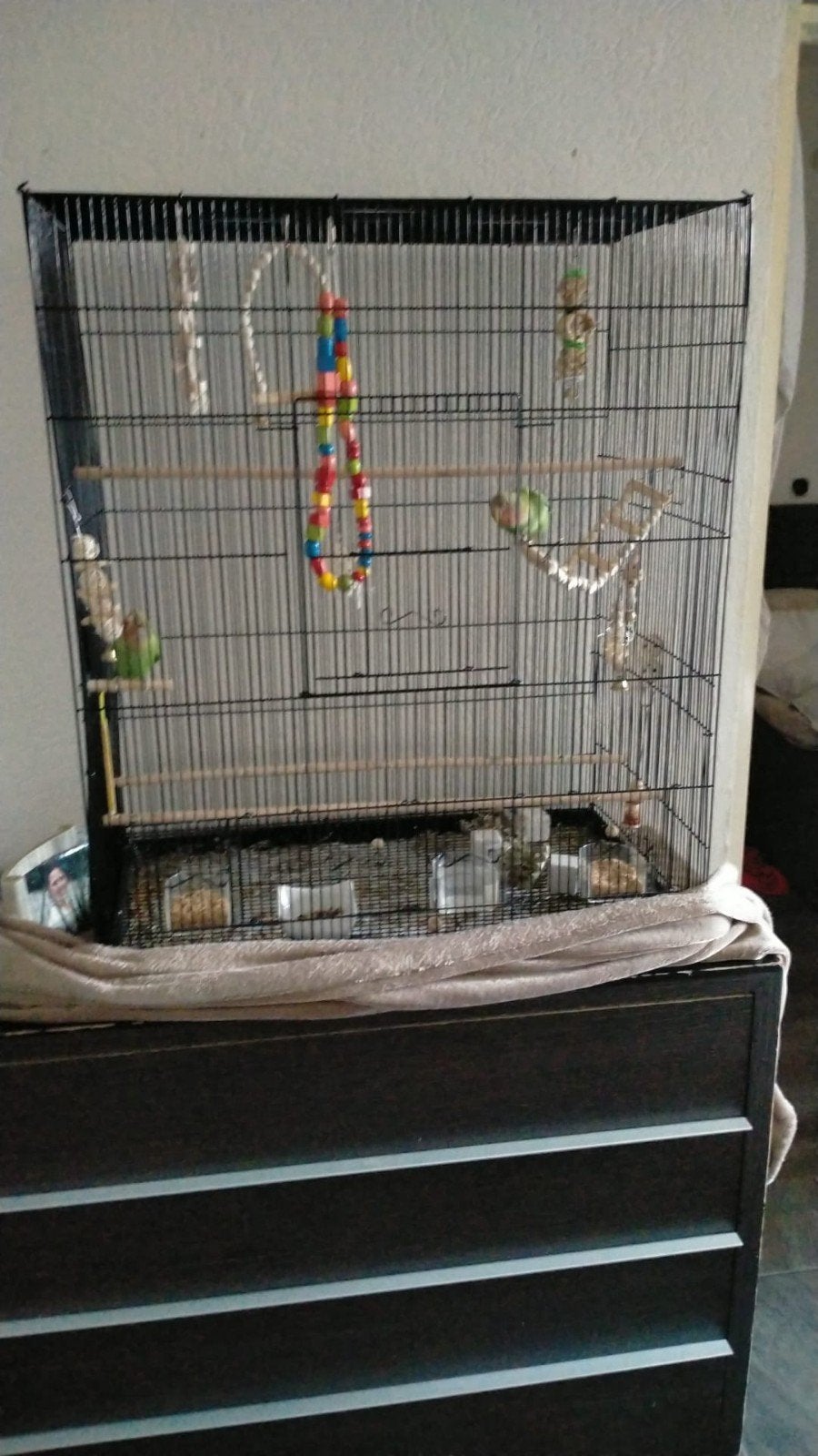 nieuw vogelkooi zonder vogels, Ophalen, Nieuw, Metaal, Vogelkooi