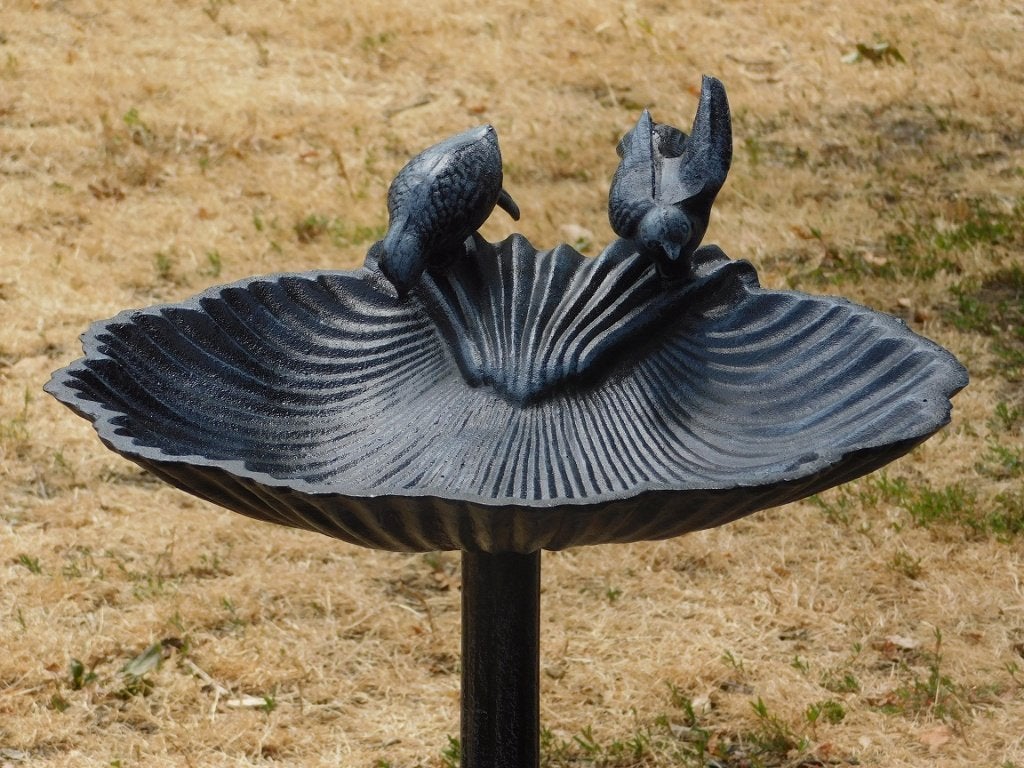 Fors Vogelbad / Voederschaal - 80 cm - Gietijzer, ., Nieuw, Ophalen of Verzenden, .