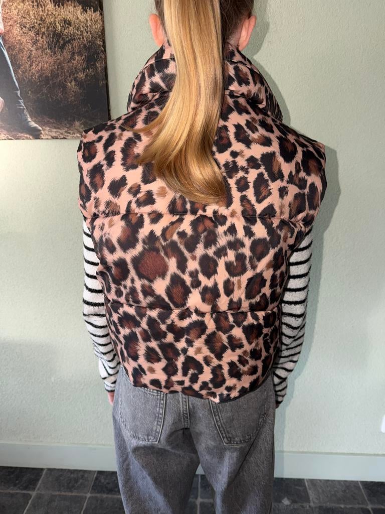 Nieuwe modieuze bodywarmer met print - Maat 152, Ophalen of Verzenden, Nieuw, Jongen of Meisje, Jas