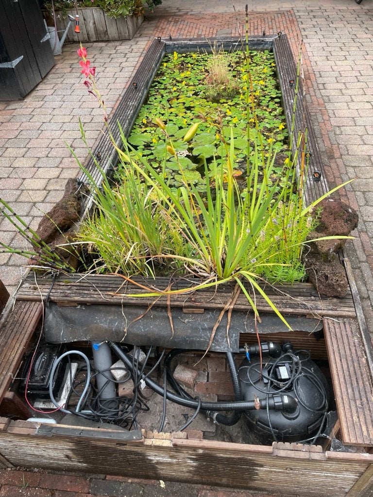 GRATIS vijver met goudvissen, planten, filter, schrikdraad, Tuin en Terras, Vijvers, Ophalen, Gebruikt