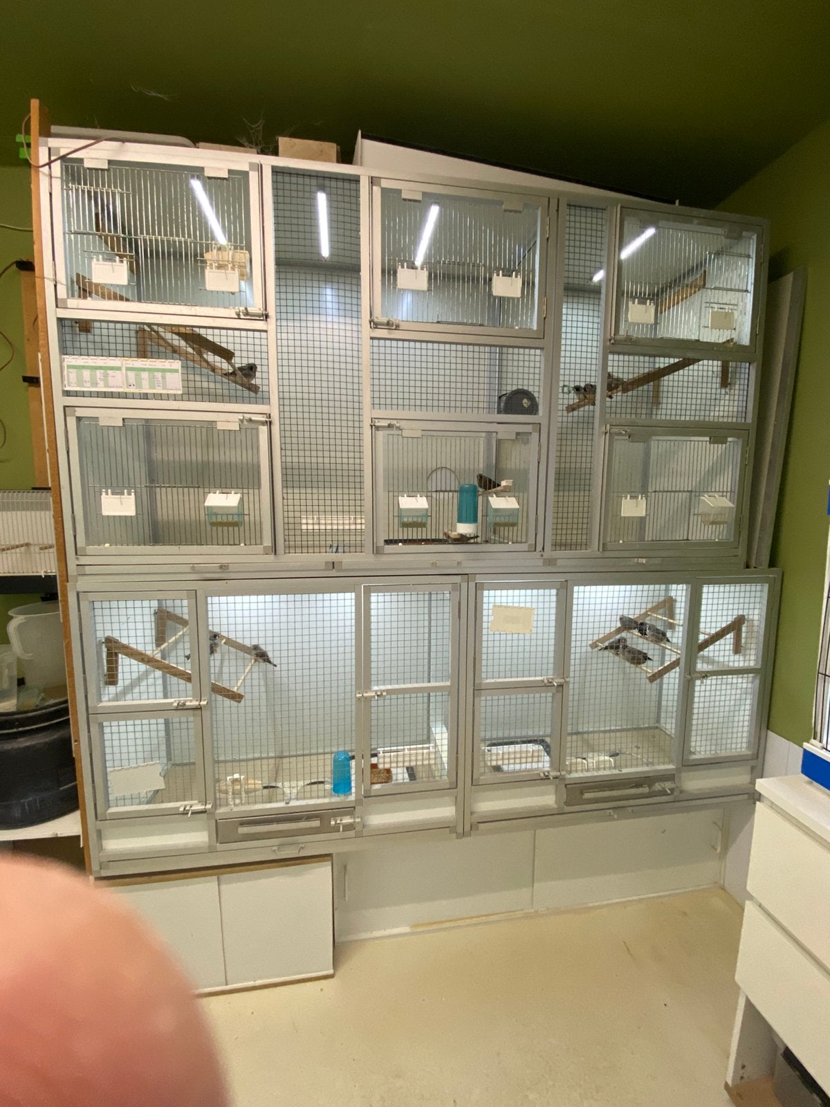 verblijf Gerbils, Dieren en Toebehoren, Knaagdieren en Konijnen | Hokken en Kooien, Ophalen, 110 cm of meer, Zo goed als nieuw