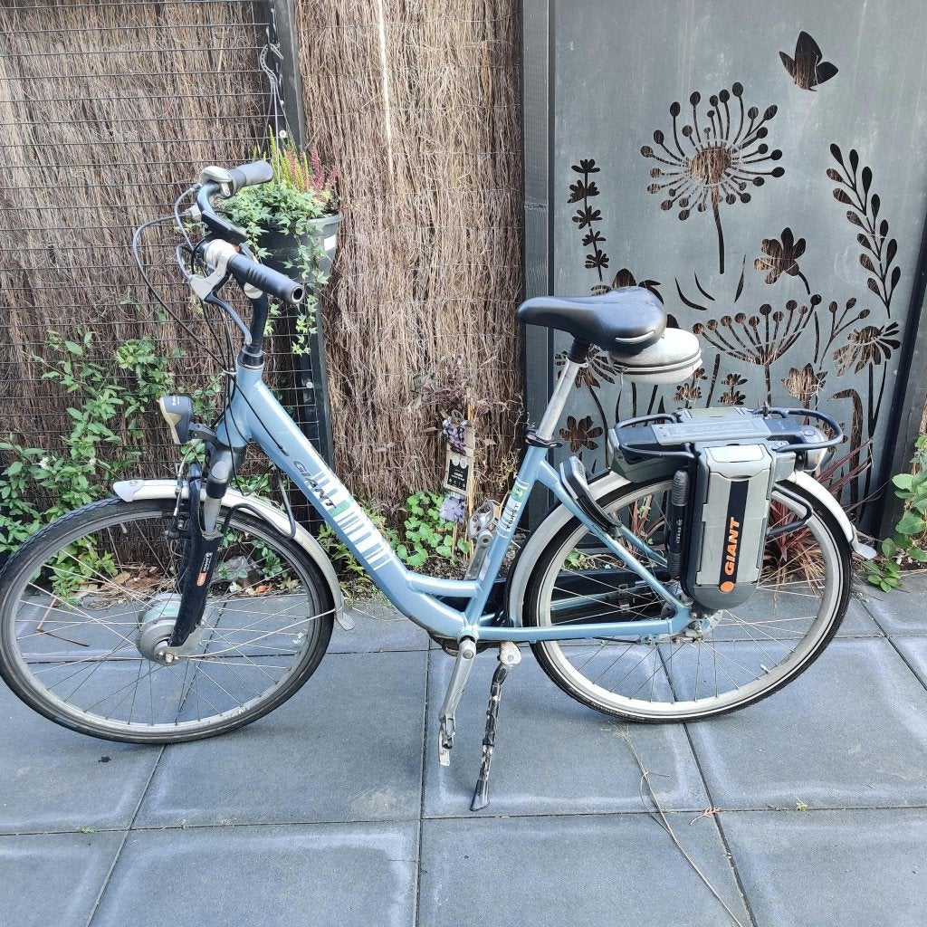 GIANT Twist elektrische fiets, Fietsen en Brommers, Ophalen, Gebruikt, Minder dan 30 km per accu, Giant