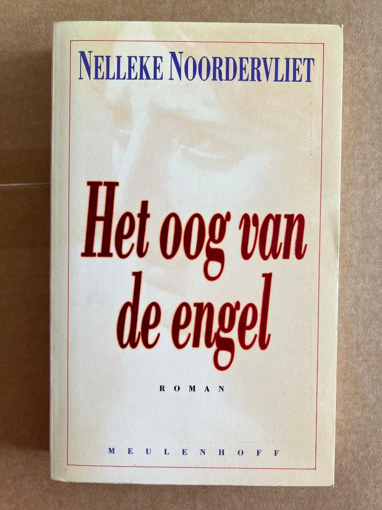 Nelleke Noordervliet: Het oog van de engel, Ophalen of Verzenden, Gelezen
