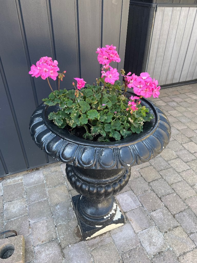 Gietijzeren vazen, Tuin en Terras, Tuinvazen, Ophalen, Gebruikt