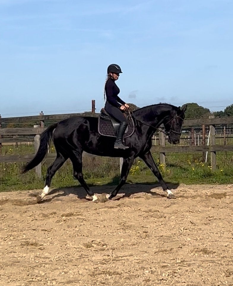 Paarden zadelmak maken