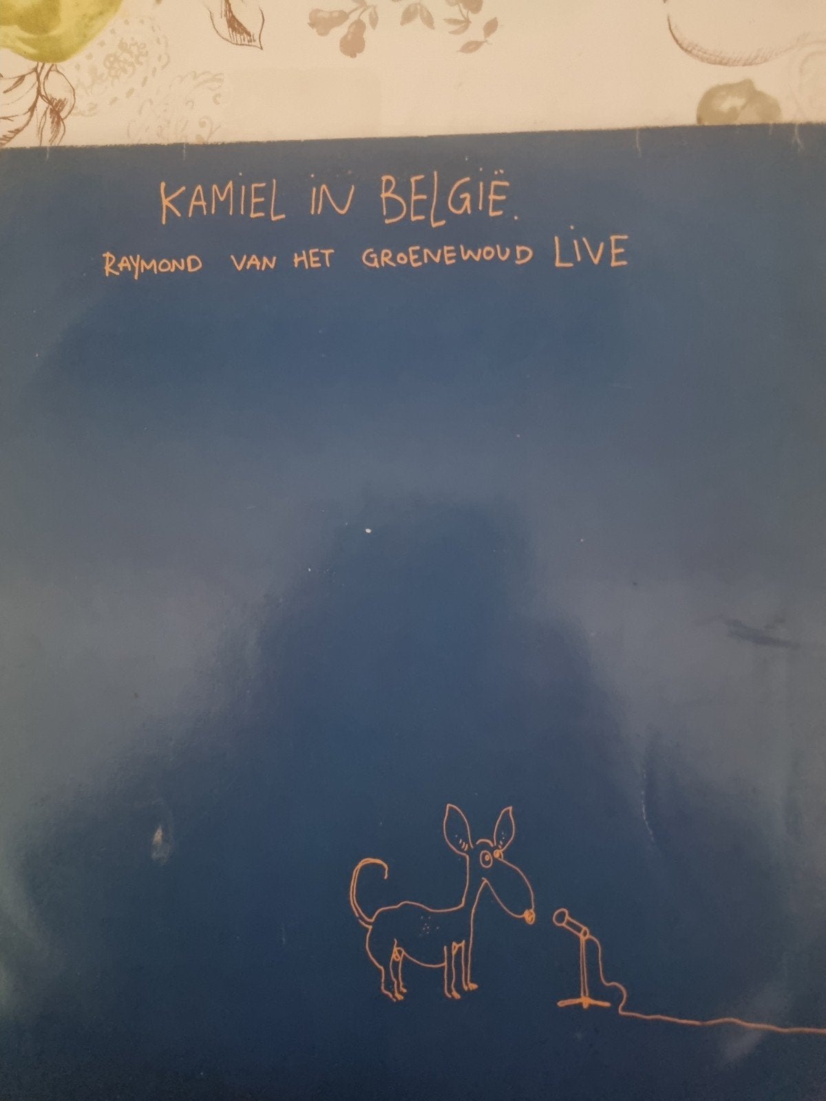 Raymond van het groenewoud live vinyl, Cd's en Dvd's, Ophalen of Verzenden, Zo goed als nieuw, 12 inch