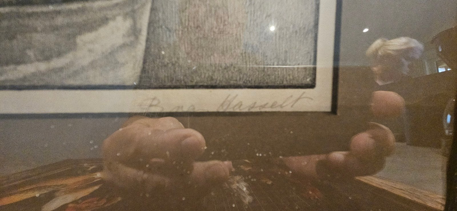 Gesigneerde Lithografie van Cactussen - Mooi Ingelijst, Ingelijst, Ophalen of Verzenden, Dieren en Natuur, Lithografie