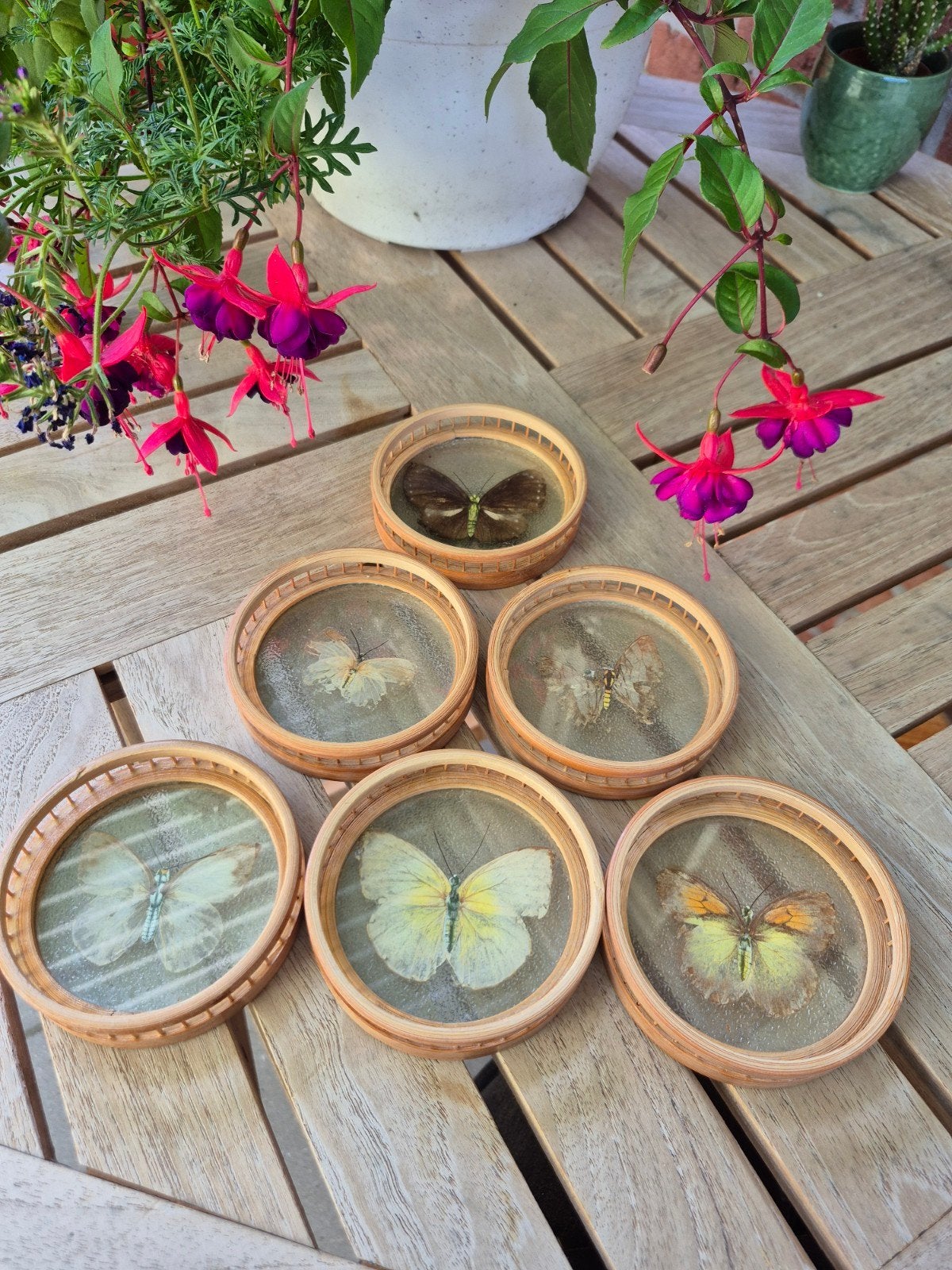 6 vintage Boheemse houten onderzetters met vlinders in glas, Ophalen of Verzenden, Zo goed als nieuw, Glas of Kopje