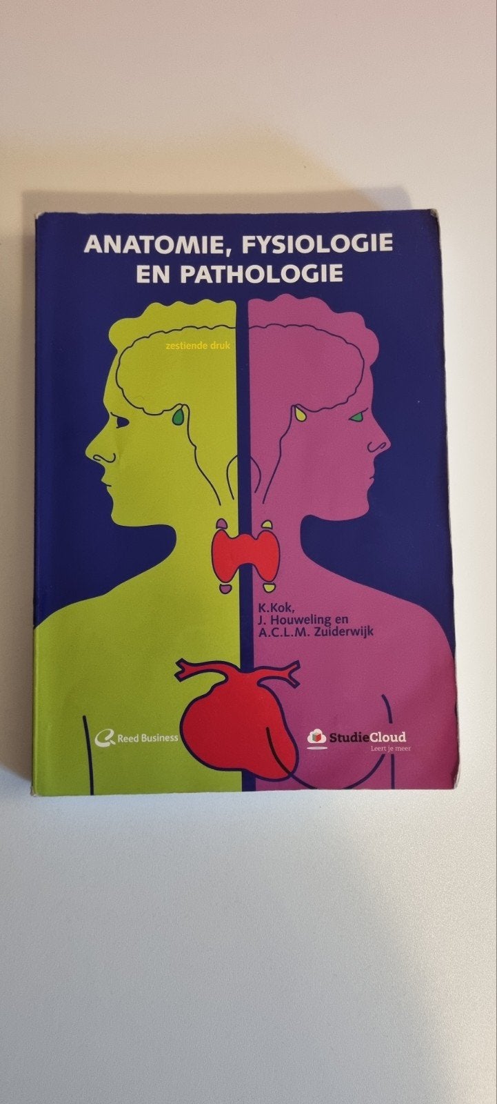 Anatomie, Fysiologie en Pathologie - 16e druk, Boeken, Ophalen of Verzenden, Zo goed als nieuw, MBO, Beta