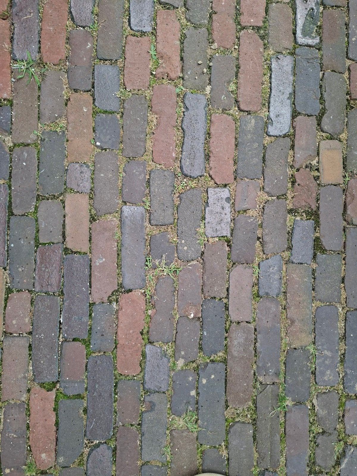 klinkers voor tuin of bestrating, Tuin en Terras, Tegels en Klinkers, Ophalen, Gebruikt, Beton