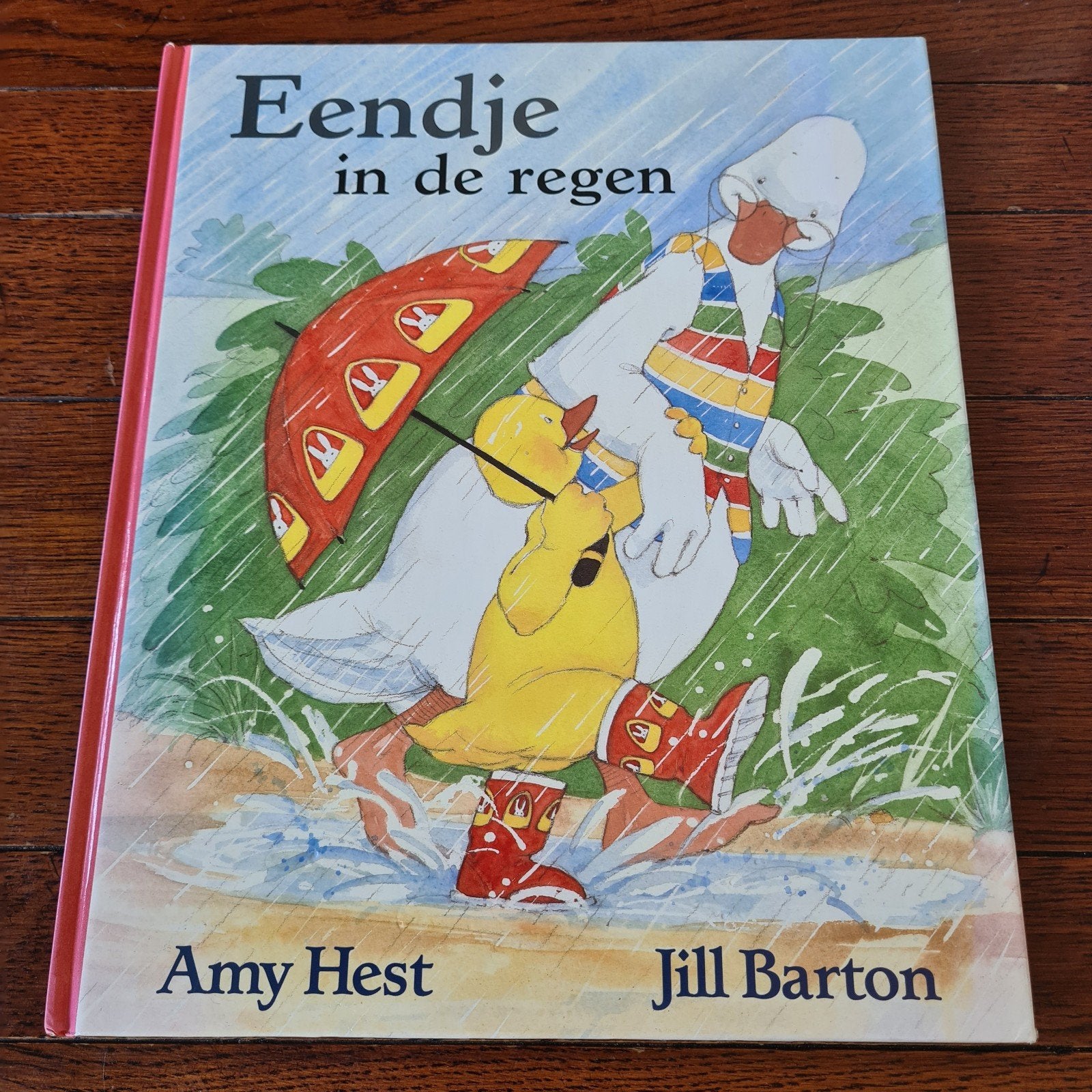 Amy Hest - Eendje in de regen, Boeken, Ophalen of Verzenden, Zo goed als nieuw, Amy Hest